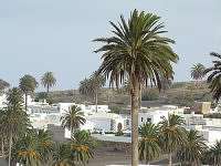 Haria, Lanzarote